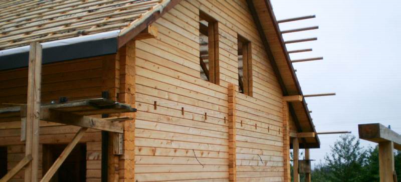 Export of high quality timber from Carpathian Forest