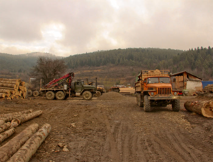 Export of high quality logs, construction timber, profiled beam, pallet boards  from Carpathian Forest