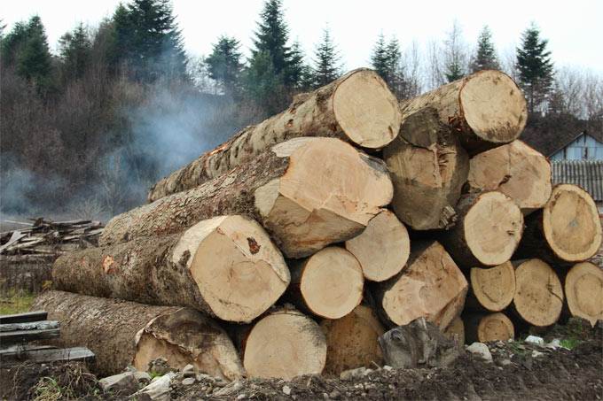 product company - logs