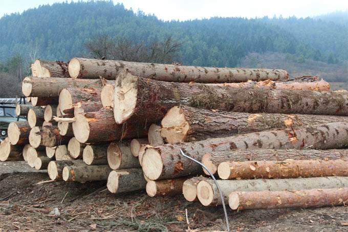 product company - logs