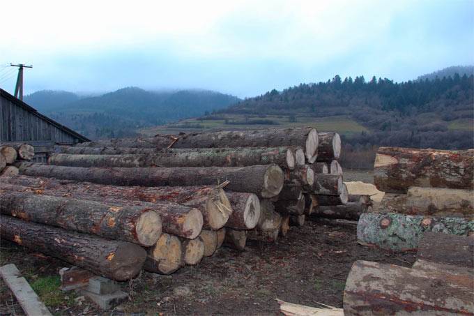 product company - logs